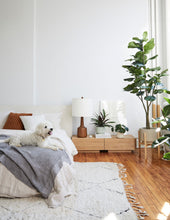 Load image into Gallery viewer, Calathea Rattlesnake