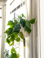 Load image into Gallery viewer, Color Block Macramé Plant Hanger