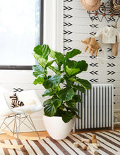 Load image into Gallery viewer, Dalton Floor Planter