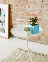 Load image into Gallery viewer, Echeveria Lola