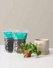 Load image into Gallery viewer, Houseplant Repotting Kit