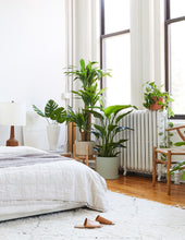 Load image into Gallery viewer, Hyde Planter