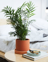 Load image into Gallery viewer, Hyde Planter