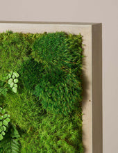 Load image into Gallery viewer, Mini Preserved Living Wall