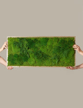 Load image into Gallery viewer, Large Preserved Living Wall