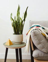 Load image into Gallery viewer, Best Sellers Duo

