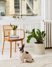 Load image into Gallery viewer, Burbank Fiberglass Floor Planter
