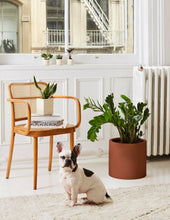 Load image into Gallery viewer, Burbank Fiberglass Floor Planter
