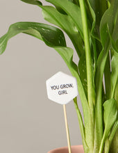Load image into Gallery viewer, Calla Lily

