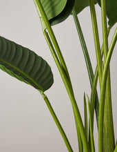Load image into Gallery viewer, Faux Bird of Paradise
