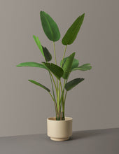 Load image into Gallery viewer, Faux Bird of Paradise
