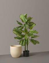 Load image into Gallery viewer, Faux Calathea Orbifolia
