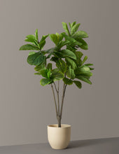 Load image into Gallery viewer, Faux Fiddle Leaf Fig Tree
