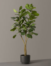 Load image into Gallery viewer, Faux Fiddle Leaf Fig Tree
