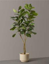 Load image into Gallery viewer, Faux Fiddle Leaf Fig Tree

