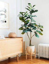 Load image into Gallery viewer, Faux Fiddle Leaf Fig Tree
