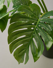 Load image into Gallery viewer, Faux Monstera
