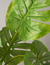 Load image into Gallery viewer, Faux Monstera
