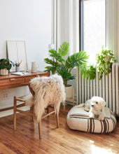 Load image into Gallery viewer, Faux Monstera
