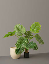 Load image into Gallery viewer, Faux Monstera
