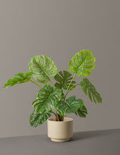 Load image into Gallery viewer, Faux Monstera
