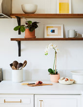 Load image into Gallery viewer, Faux Orchid Phalaenopsis
