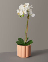 Load image into Gallery viewer, Faux Orchid Phalaenopsis
