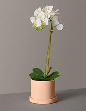 Load image into Gallery viewer, Faux Orchid Phalaenopsis

