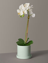 Load image into Gallery viewer, Faux Orchid Phalaenopsis
