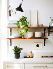 Load image into Gallery viewer, Faux Pothos
