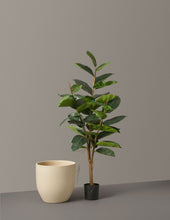Load image into Gallery viewer, Faux Rubber Tree
