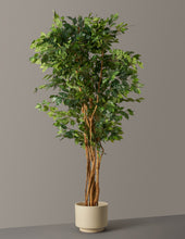 Load image into Gallery viewer, Faux Weeping Ficus Tree
