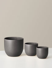 Load image into Gallery viewer, Grant Planter Trio
