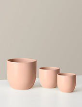 Load image into Gallery viewer, Grant Planter Trio
