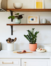 Load image into Gallery viewer, Grant Planter
