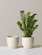 Load image into Gallery viewer, Grant Planter
