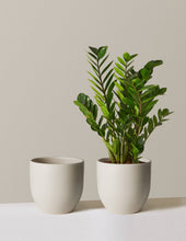 Load image into Gallery viewer, Grant Planter
