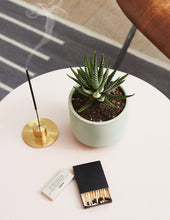 Load image into Gallery viewer, Haworthia Zebra
