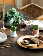 Load image into Gallery viewer, The Housewarming Duo

