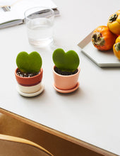 Load image into Gallery viewer, Hoya Heart Plant
