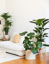 Load image into Gallery viewer, Hyde Planter
