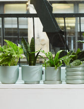Load image into Gallery viewer, Hyde Planter
