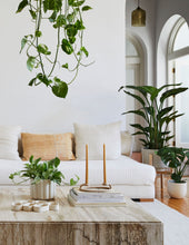 Load image into Gallery viewer, Marble Queen Pothos
