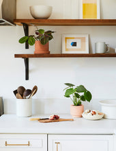 Load image into Gallery viewer, Monstera Deliciosa
