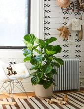 Load image into Gallery viewer, Prospect Planter
