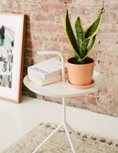 Load image into Gallery viewer, Snake Plant Laurentii
