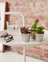 Load image into Gallery viewer, Succulent Assortment
