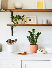 Load image into Gallery viewer, ZZ Plant
